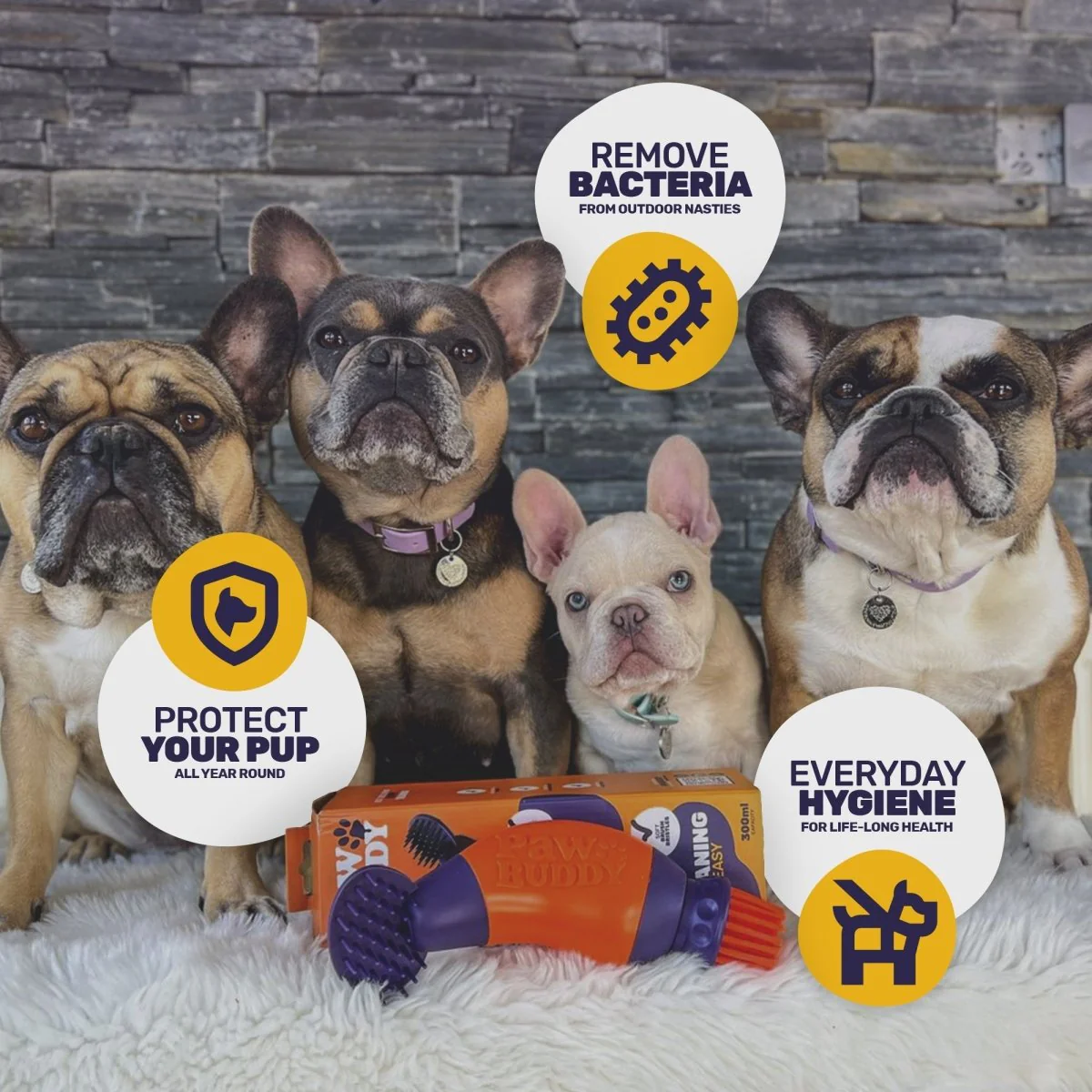 PawBuddy - Image 6